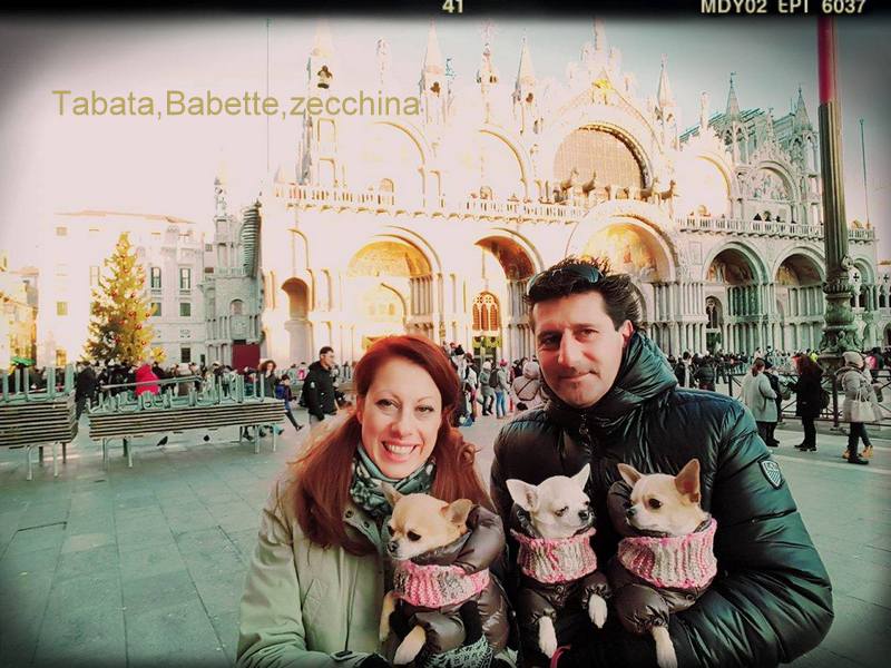 TABATA,BABETTE,ZECCHINA DELLA DOLCEMELA diMarta