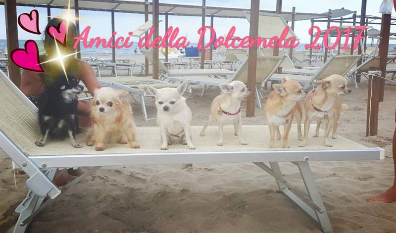 SAMANTHA,SUSY,SOFIA,ZECCHINA,BABETTE,TABATA