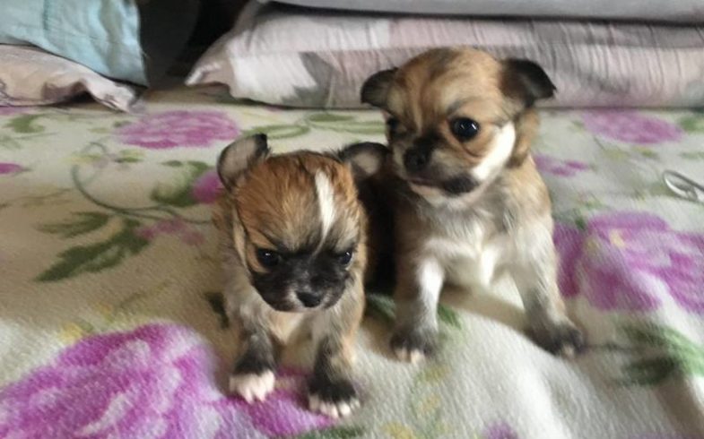 coccole nel lettone